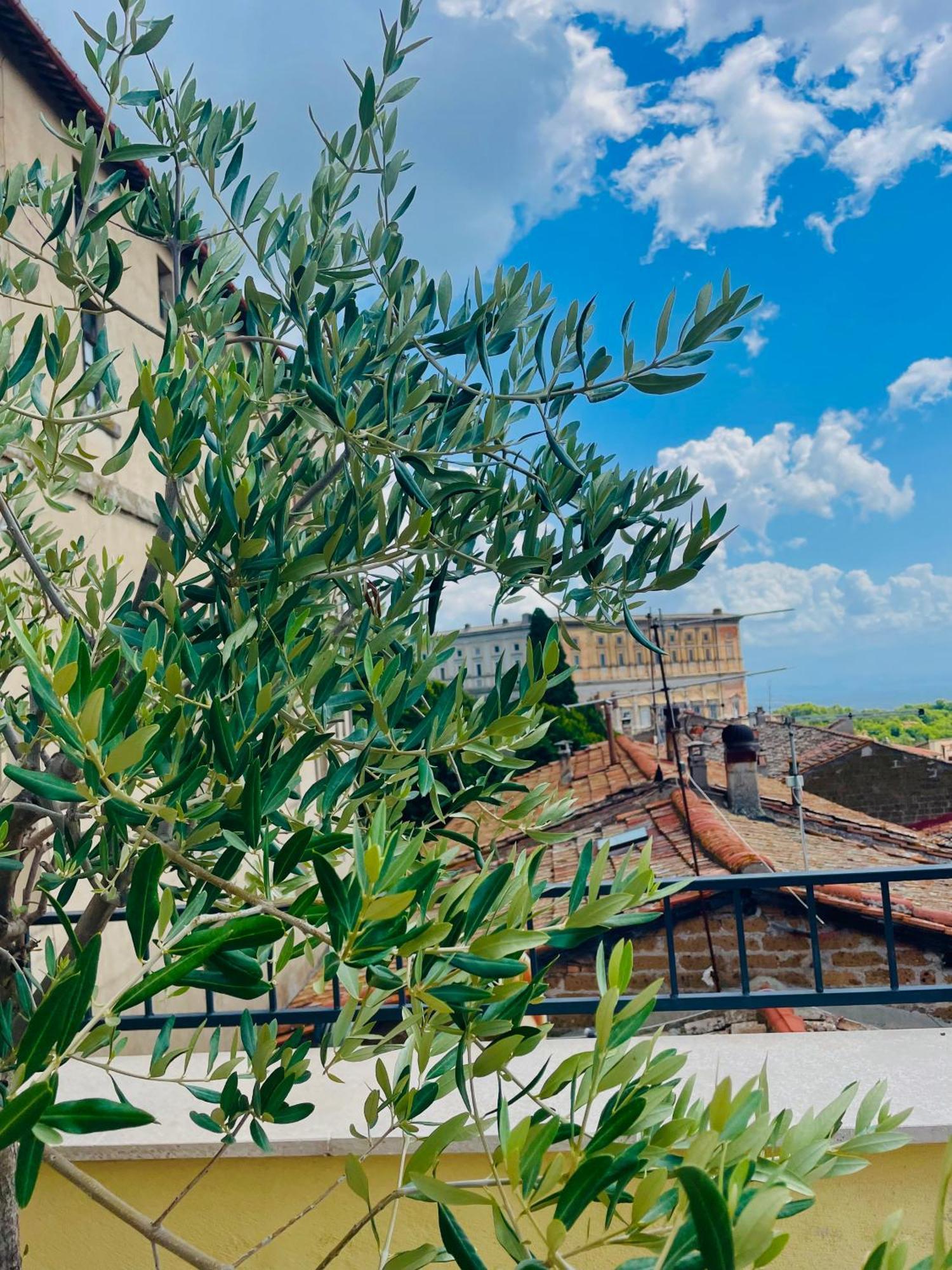 Casa Checca Appartamenti Per Vacanze Caprarola Zewnętrze zdjęcie